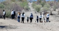 Desapariciones forzadas en México: una crisis que afecta a buscadoras, defensores y periodistas