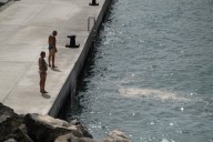 Aparecen peces muertos en una zona de baño de Tenerife