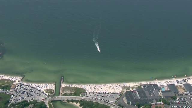 Bacteria that can cause flesh-eating disease found in Cape Cod swimmer