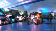 State College families time travel back to prehistoric days