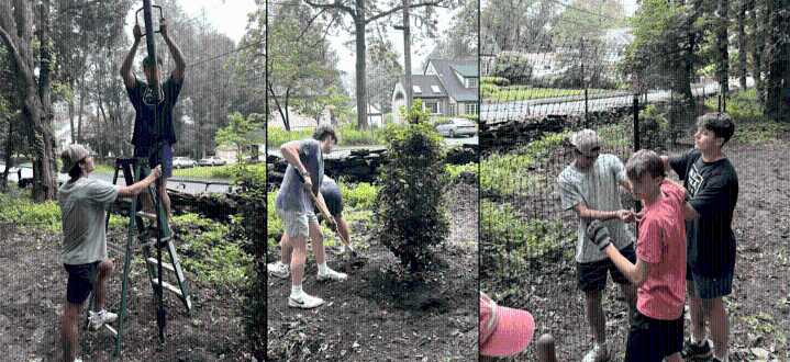 Greenwich Eco-Alliance: Local Teens Lead a Greener Future for Their Community