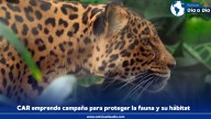 CAR: campaña para proteger fauna y su hábitat en Cundinamarca