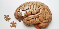 La neurociencia identifica 6 estrategias para fortalecer la memoria cotidiana