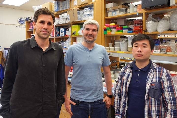 La IA descubre antibióticos en arqueas, los microorganismos que explican el origen de la vida compleja