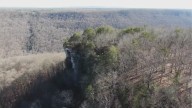 Hiker dies after venomous bite from 'most dangerous' snake in Tennessee
