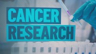 Bay Area cancer study in cats could pave way for human treatments