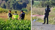 Hallan seis cabezas humanas en estado de descomposición en inmediaciones del estado de Puebla y Tlaxcala