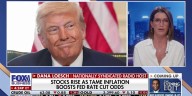 Dana Loesch: We should 'give Trump grace' on tariffs