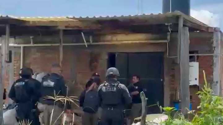 En Cateo, Localizan Más de 2 Mil Plantas de Marihuana en Invernadero de Teocaltiche, Jalisco