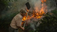 El fuego devora 100.000 hectáreas en ocho regiones