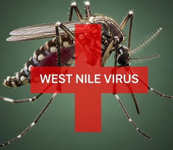 West Nile Virus detected in mosquito sample in Mercer County