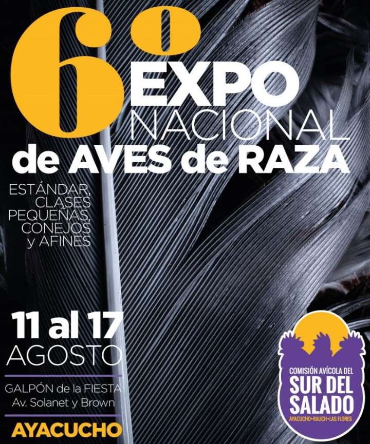 Se desarrolla la 6ta Exposición Nacional de Aves de Raza en Ayacucho