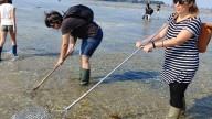 El "pescaturismo", un salvavidas económico para la martirizada flota pesquera española