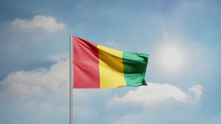 Three major Guinea political parties suspended ahead of September constitutional referendum