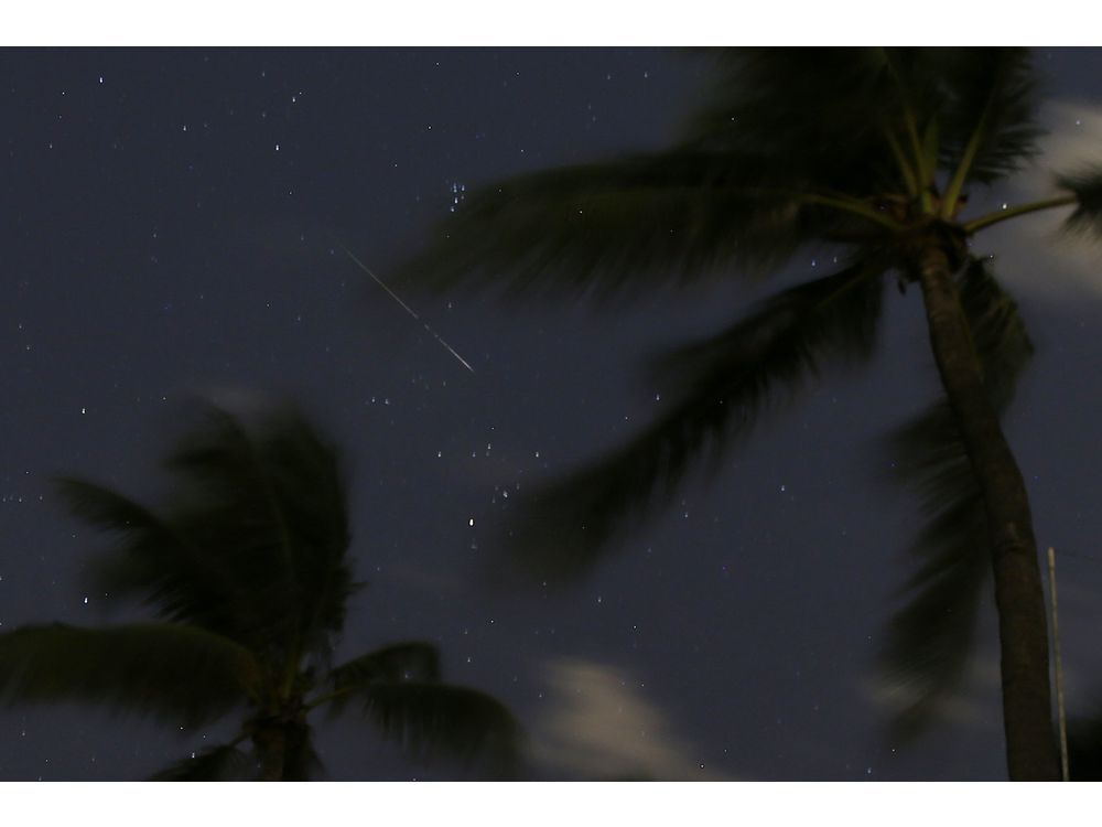 Venus and Jupiter appear close in sky as meteor shower peaks this week