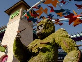 San Antonio Zoo to build new coral lab, welcome gorillas this fall