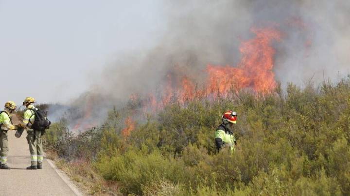 Nuevos detenidos por los incendios en Castilla y León: arrestado el pirómano de la Sierra de la Culebra