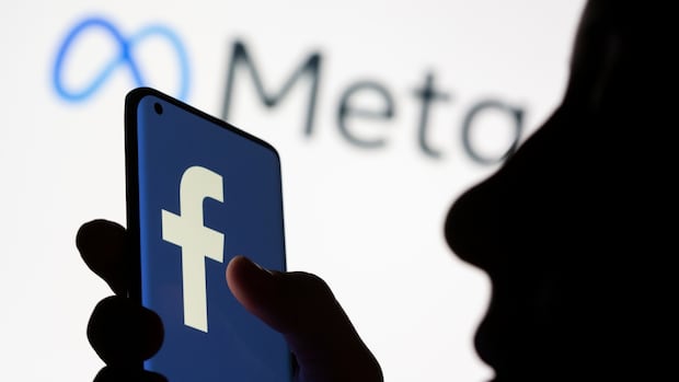 Facebook argues it doesn't belong in former N.B. doctor's lawsuit alleging racist posts
