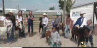Heatherann reports from the Twin Falls County Fair with mini horses!