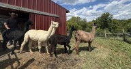 Growing clothes and building community at River Hill Ranch