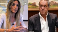 Galmarini denunció a Scioli por desviar una conexión de gas hacia su propia casa