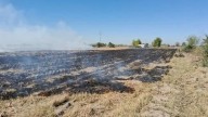 Leales: ardieron tres hectáreas de restos de caña en finca San Jorge