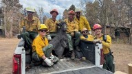 A Grand Canyon mascot is recovered from the rubble. Can Brighty the Burro be restored?