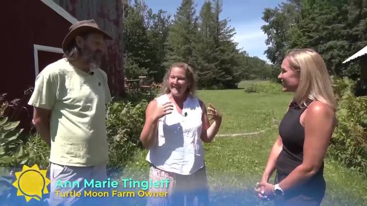 Experience Turtle Moon Farm: Artisan bread, fresh produce, and community charm