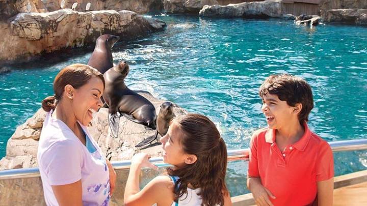 SeaWorld is Offering Free Admission to Teachers Through September 4th