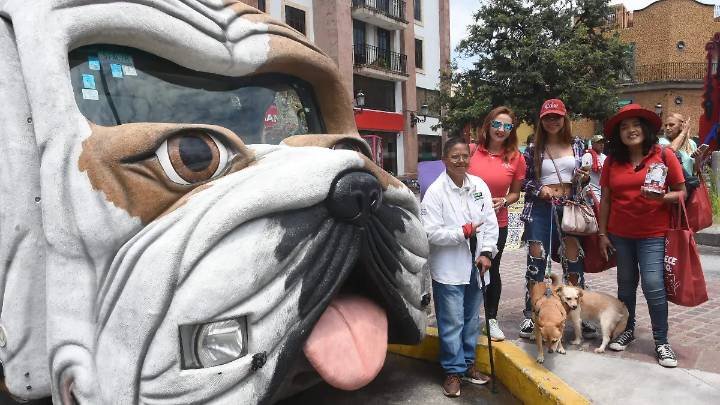 Adoptan a diez perros en Croquetón Estatal y recolectan 10 kgs de croquetas
