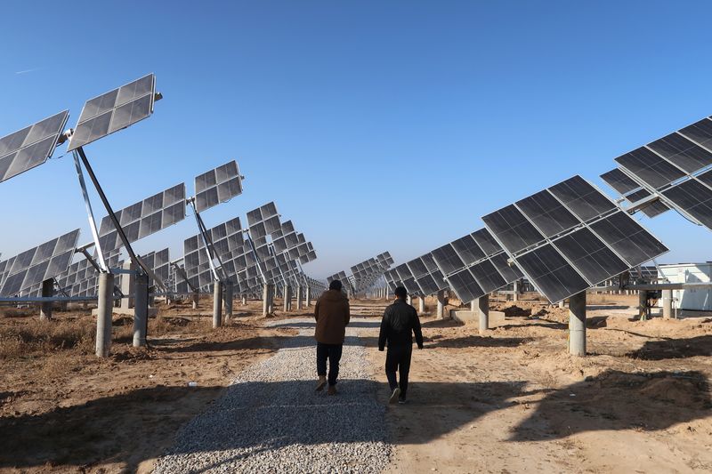 China's solar power capacity growth to slow in H2 after pricing reforms