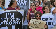 Florida's first black bear hunt in a decade approved despite strong opposition