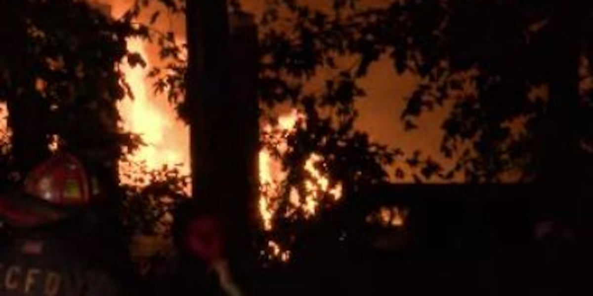 2 houses go up in flames in East Cleveland
