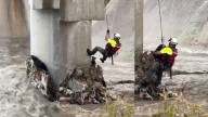 Rescatan a perrito atrapado en arroyo