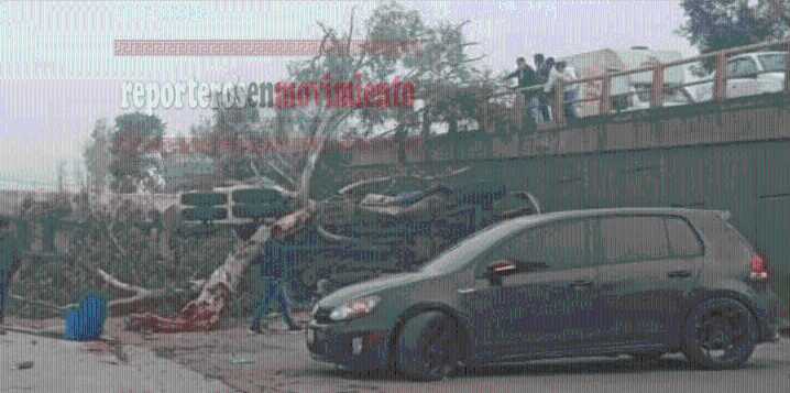 TRÁILER SE QUEDA SIN FRENOS Y CAYÓ DE UN PUENTE EN ATLACOMULCO; EL OPERADOR PERECIÓ