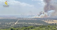 El incendio de nivel 1 en Casas de Don Pedro tuvo su origen en una planta fotovoltaica