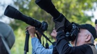 Cinco destinos imperdibles para hacer avistamiento de aves en Colombia