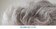 Cómo usar el vinagre de manzana para eliminar las canas