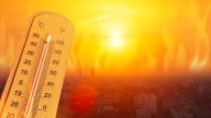 La AEMET activa los avisos en Andalucía por la ola de calor extrema: estas zonas superarán los 42º