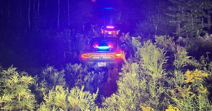 Police chase goes from I-93 to an off-road field, ends with crash