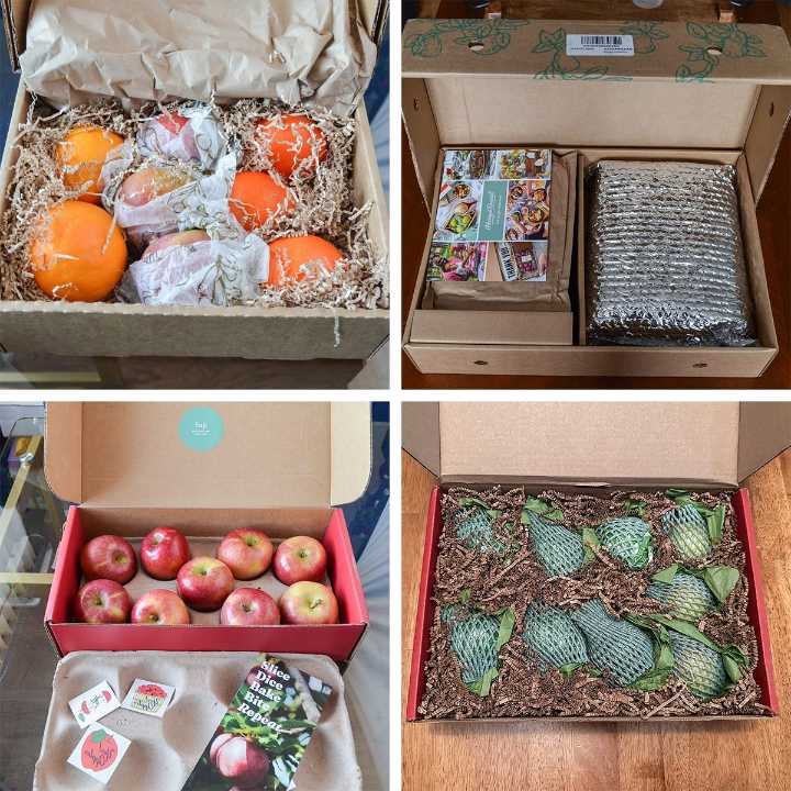 5 Best Fruit of the Month Clubs for Snacking & Gifting
