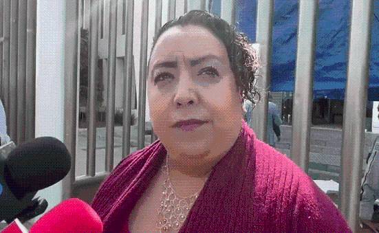EN SEGUNDA AUDIENCIA POR EL CASO DE FERNANDITO, DESTITUYEN A ABOGADA POR PRESUNTA DENUNCIA CONTRA AUTORIDADES