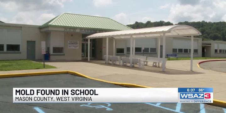 Mold found in New Haven Elementary