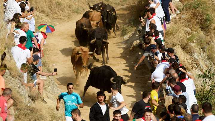 Vuelven a Navarra los encierros más peligrosos: horarios y ganaderías de 2025