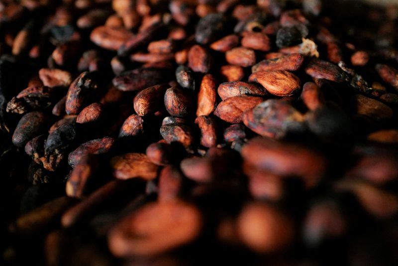 Hartree in talks to buy major cocoa trader Touton, sources say