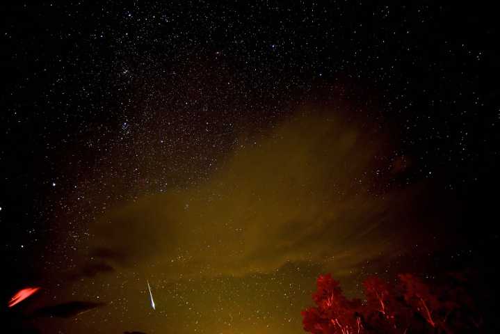 Perseids to peak overnight, followed by bright Jupiter and Venus