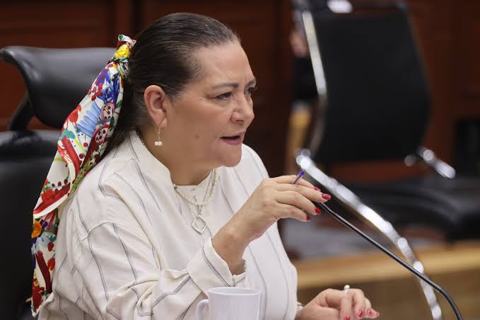 INE presentará opinión técnica para la reforma electoral; Taddei defiende permanencia de OPLES