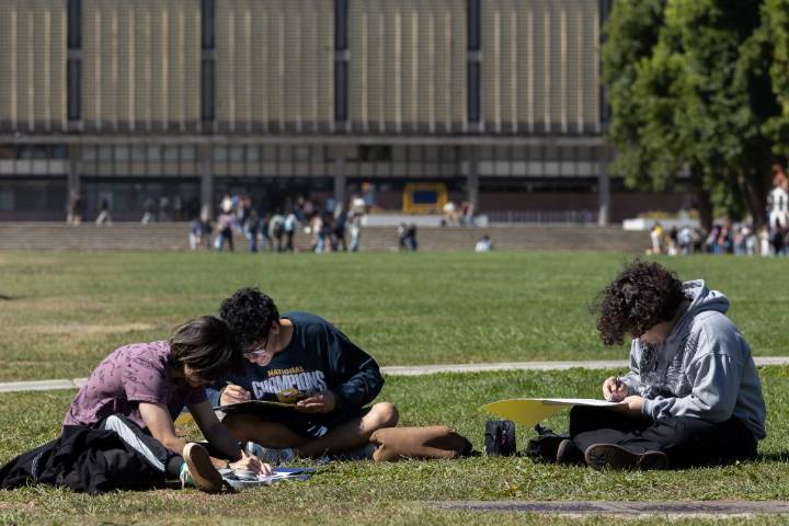 Áreas verdes: espacios fundamentales para la salud, la convivencia y la identidad urbana