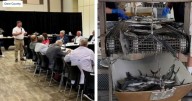 North Carolina Coastal Coalition formed, giving a voice to the fishing industry