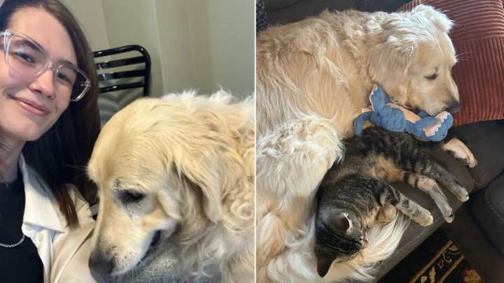 Senior Dog From Indiana Had Separation Anxiety, So He Found Comfort In An Unlikely Companion